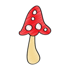 mushroom vegetation plant nature icon vector illustration drawing design color