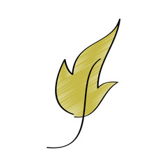 leaf foliage botany frond natural icon vector illustration drawing design color