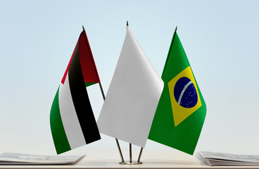 Flags of Palestine and Brazil with a white flag in the middle