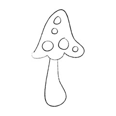 mushroom vegetation plant nature icon vector illustration sketch design