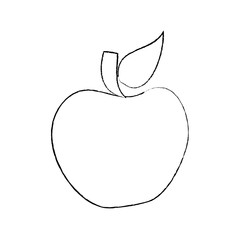 fruit tasty apple delicious food vector illustration sketch design