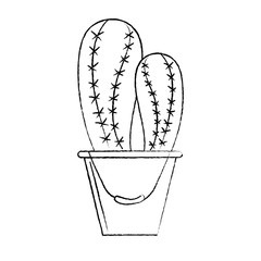 cactus in bucket plant decorative natural vector illustration sketch design