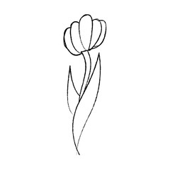 flower natural botanical stem leaves icon vector illustration sketch design