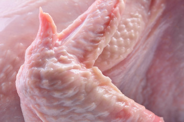 Meat chicken texture © valeriy555