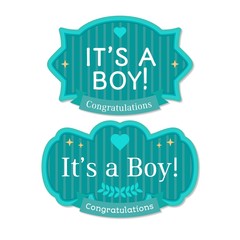 Babyborn boy badge or label.