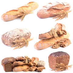 Bread on a white background