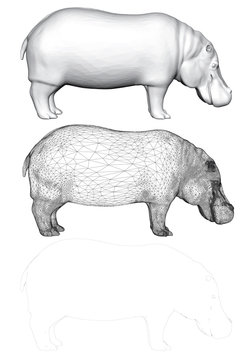 Vector illustration of a set of three hippopotamus, poligonalgy 3D, mesh and contour.