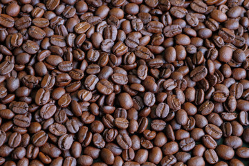 coffee beans for background and texture