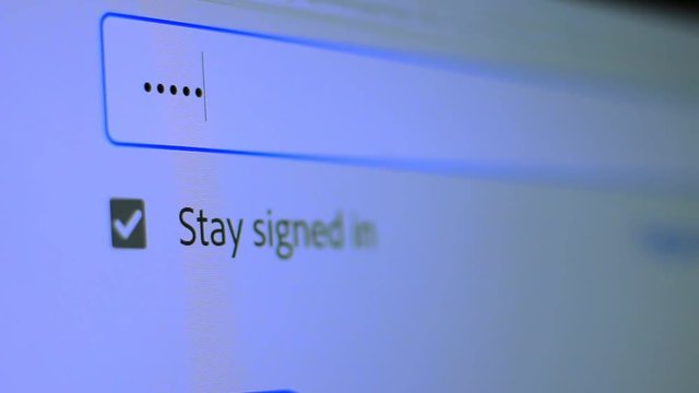 Enter the password for the website in the Internet. Encryption screen With flashing cursor