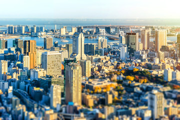 Asia Business concept for real estate and corporate construction - panoramic modern city skyline bird eye aerial view of tokyo and odaiba in Roppongi Hill, Tokyo, Japan. Miniature Tilt-shift effect