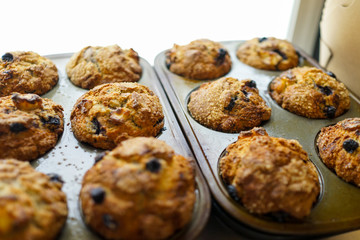 Muffins 