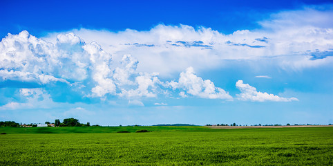 white curly clouds against the blue sky, field, nice summer day