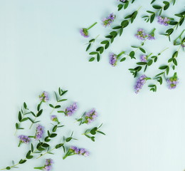 Flowers background. Frame made of the branches of eucalyptus and purple flowers on a pale blue background. Flat lay. top view. copy space