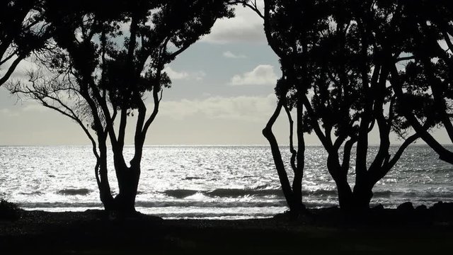An Eye Level, Long Shot of Orewa Beach, New Zealand, showing a shimmering seascape with rolling waves, framed by the silhouette of shoreline trees.