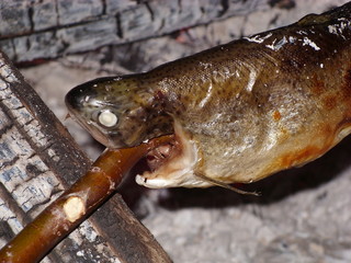 Steckerlfisch Fisch am Stock Lagerfeuer