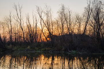 Autumn landscape. Russia