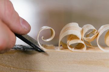 close-up carpenter man's hand treats the tree, cuts the shavings.