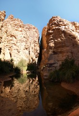 Bizzare rock formation at Essendilene in Tassili nAjjer national park, Algeria