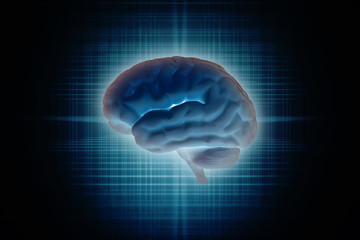 Human brain 3d illustration