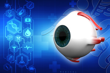 3d rendering Human eye structure