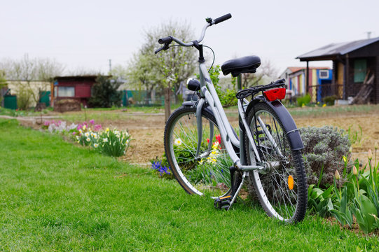 Parked modern lwomen´s bicycle in the gardening area