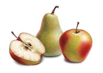 Watercolor illustrations of apples and pears.