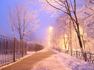 a pedestrian path in a frosty winter morning