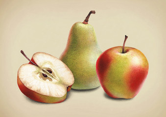 Watercolor illustrations of apples and pears.