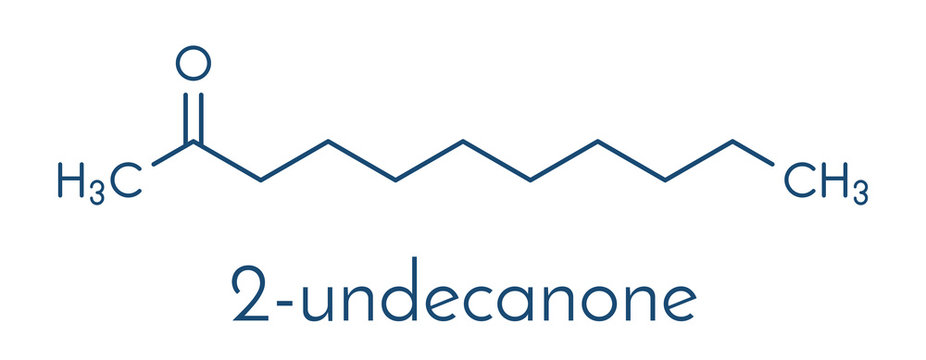 Methyl nonyl ketone (2-undecanone) insect repellent molecule. Skeletal formula.