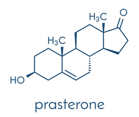 Prasterone (dehydroepiandrosterone, DHEA) drug molecule. Skeletal formula.