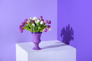 white and purple tulip flowers in vase on cube, ultra violet trend