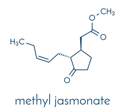 Methyl jasmonate plant stress signal molecule. Skeletal formula.