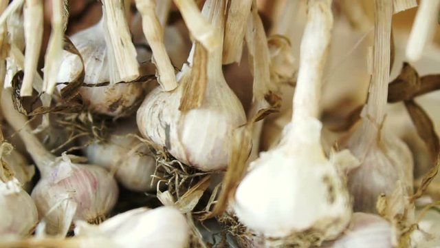 Dried fresh garlic harvested from the farm close up video shot