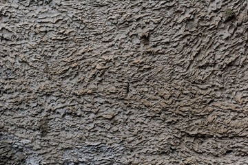 Background of a gray stucco coated and painted exterior, rough cast of cement and concrete wall texture, decorative coating