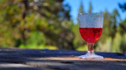 isolated wine glass in natural background