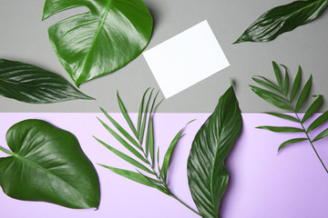 Tropical leaves on color background, flat lay