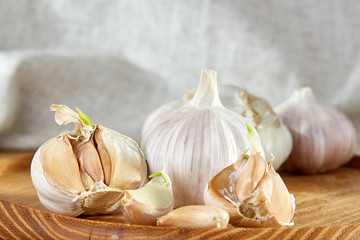 Garlic close up on wooden plate on rustic background, shallow depth of field, selective focus, macro