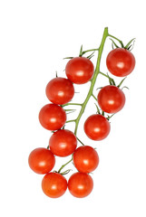 Red cherry tomato (Lycopersicon esculentum var cerasiforme) isolated on white