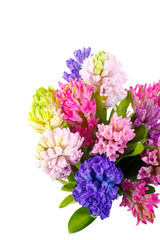 Fototapeta premium Lilac, blue, pink, raspberry hyacinths in a small, low bouquet. A holiday, a gift for a woman. Smart. View from above. Close up Isolated