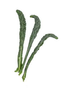 Palm cabbage leafs (Brassica oleracea var palmifolia), isolated on white