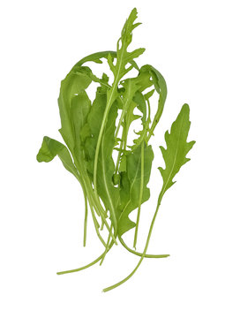 Rocket leafs (Diplotaxis tenuifolia) isolated on white 