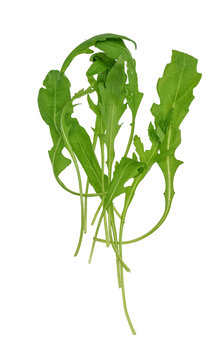 Rocket leafs (Diplotaxis tenuifolia) isolated on white 