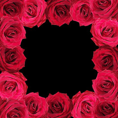 Beautiful floral background of dark red roses 