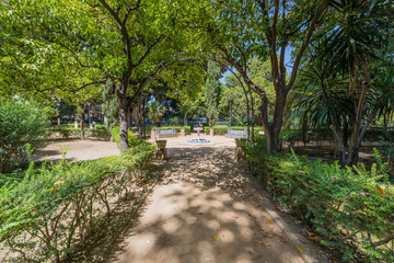 Fototapeta na wymiar Gardens of Catalina de Rivera in Seville, Spain