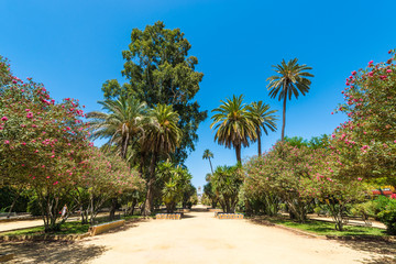 Fototapeta na wymiar Gardens of Murillo in Seville, Spain