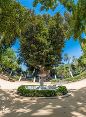 Fototapeta premium Gardens of Catalina de Rivera in Seville, Spain