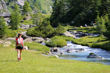 Mountain walking in a summer day