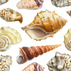 Seamless pattern with watercolor illustrations of shells