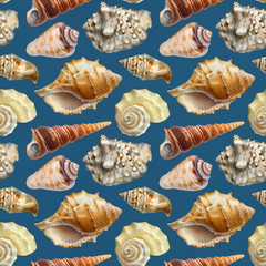Seamless pattern with watercolor illustrations of shells