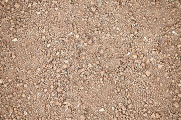 Ground background nature